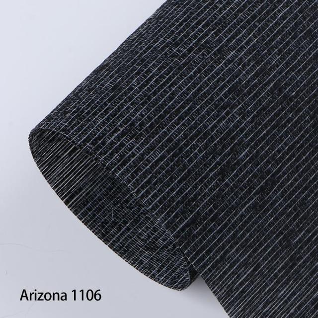 Arizona 11